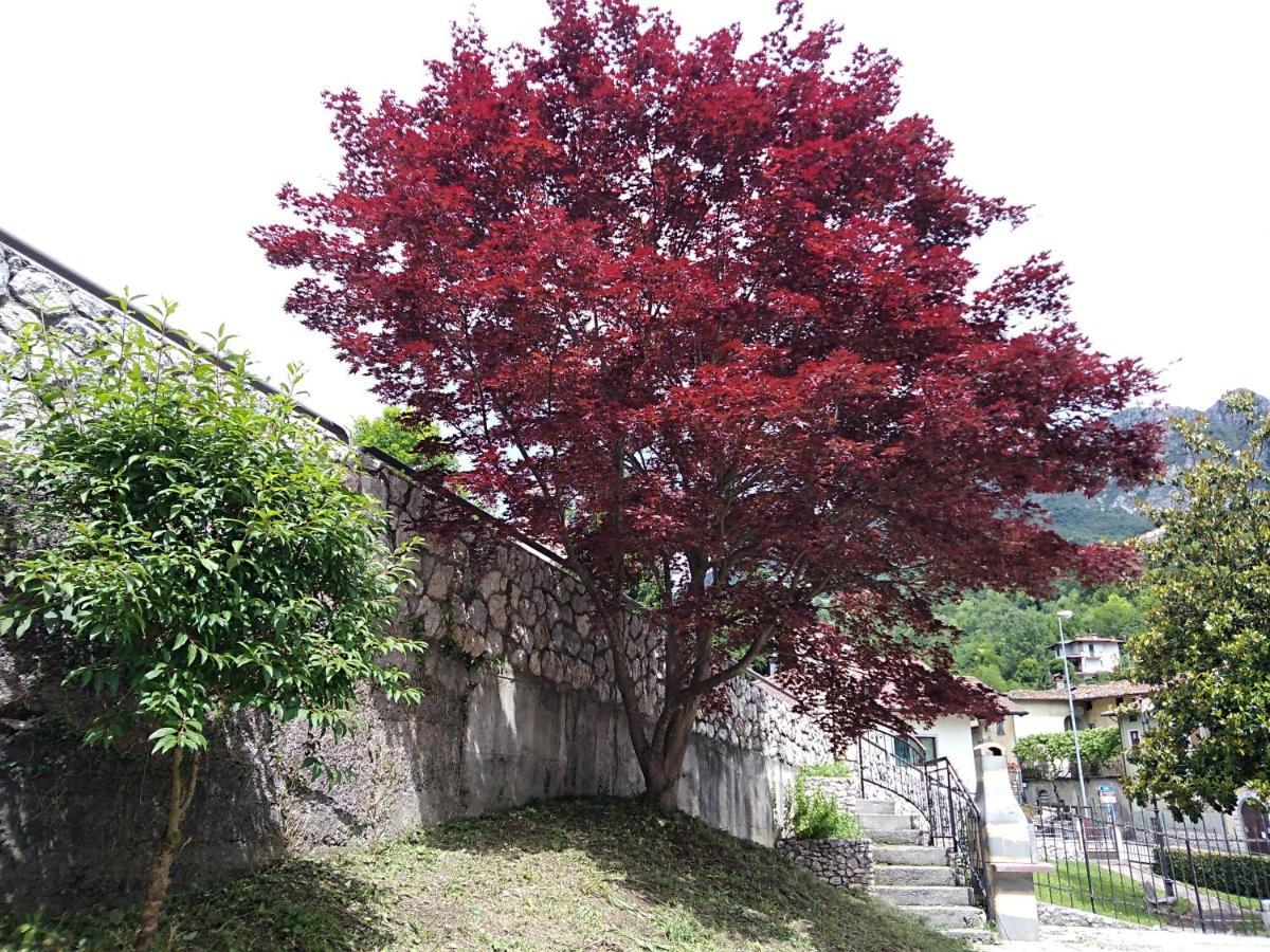 Casto B&B L'Acero المظهر الخارجي الصورة